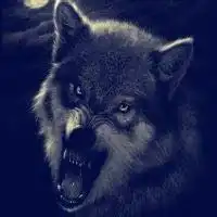 脸部滴血狼头qq头像