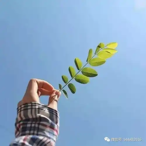 这一生,我们遇见谁都是天意