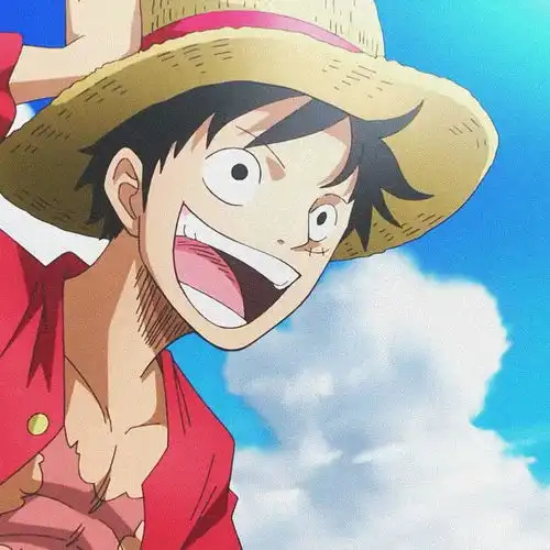 有没有适合四个兄弟的海贼王头像