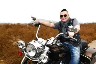 机车是什么意思好像是说人的