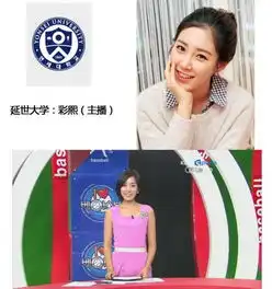 金泰熙韩彩英少女时代韩国女星都毕业于哪所大学