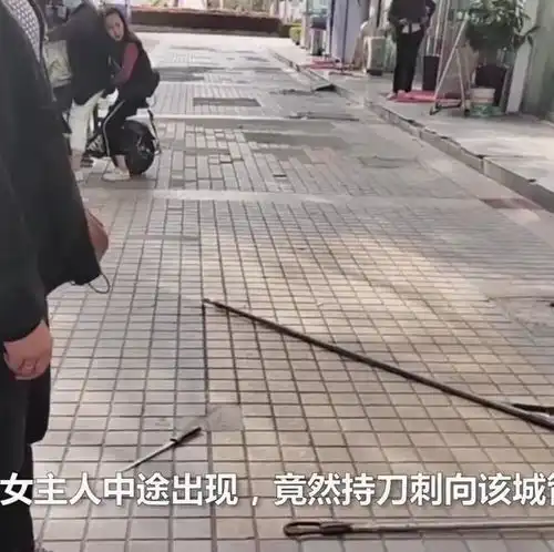 女子持刀救狗,城管无奈用捕狗网将其制服