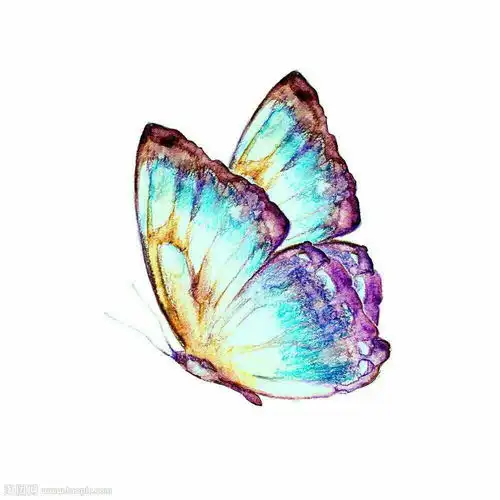 用蝴蝶当微信头像的男人性格是怎样的花心吗