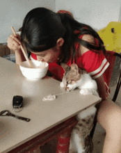 猫站在桌边,嘴里吃着美女施舍的面条,姿势搞笑,网友却说心疼