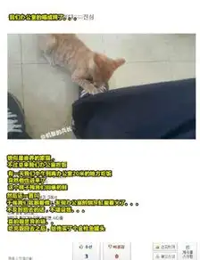 笑话,让你开心一整天哈哈哈太逗了