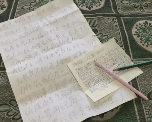 张家口15岁少女留下遗书深夜坠落山崖自称压力太大