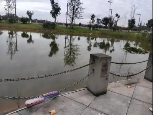 19岁大学生给女友的室友摘荷花溺亡父母发声校方有责任