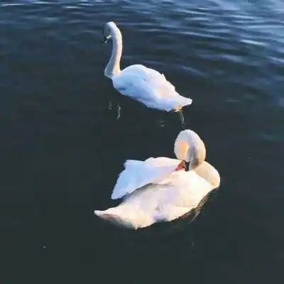 大发体育平台注册首页