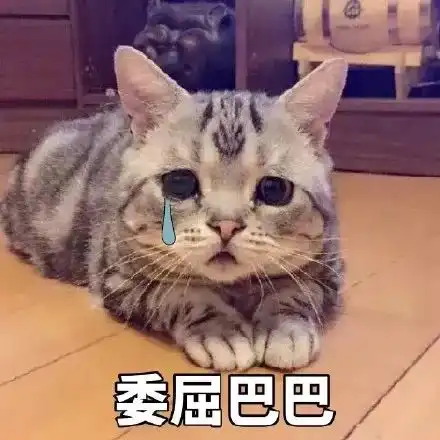 注意10月起这些东西统统免费,不知道你就亏大了