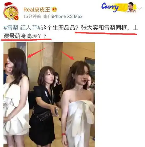 中国第一网红张大奕深陷小三风波,像她这样的有钱人也要傍大款