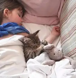 从自闭症到天才画家,是猫咪治愈了她特教分享
