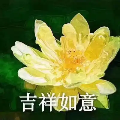女佛头像女色