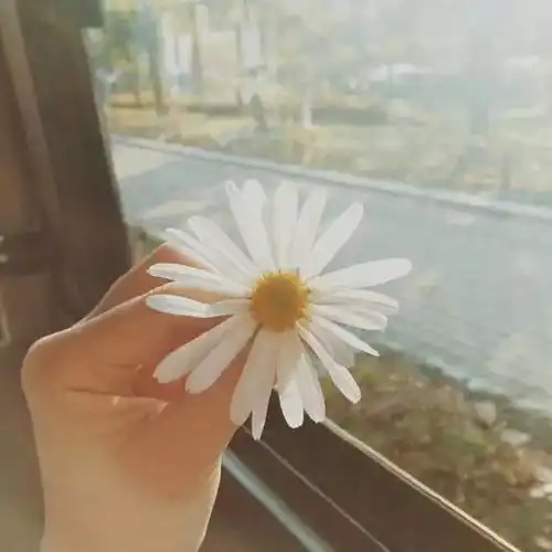 女生头像带花真人绿酒