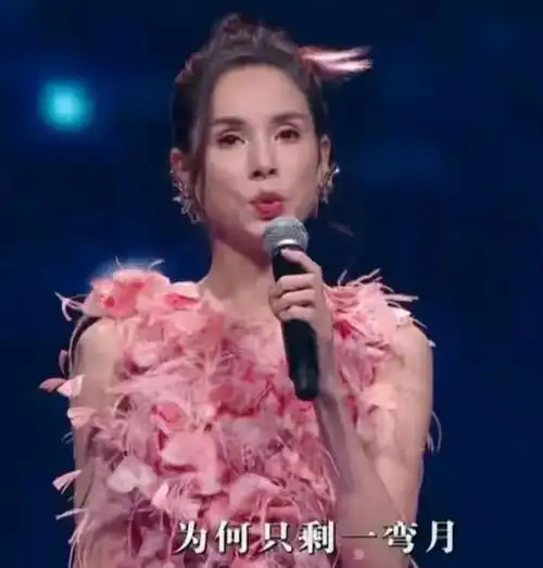 中秋晚会神仙打架王菲气质高冷赵丽颖仙美,刘恺威魏大勋罕同框