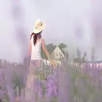 女生头像背影二次元微信头像图片大全