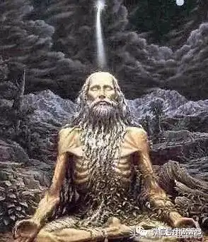 人体各项潜能极限都能到什么高度