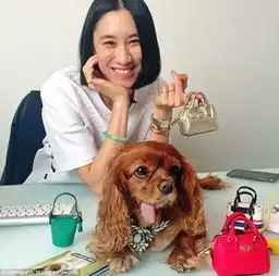 英宠物狗戴墨镜穿潮装百变时装造型受热捧