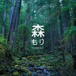 在音符与梦幻森林之间