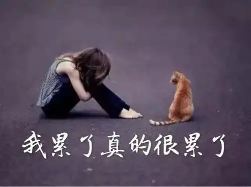 女生高冷霸气个性签名
