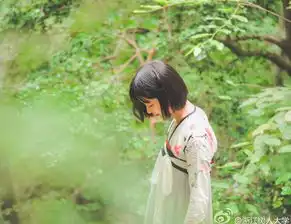 组图树大校花倪聪聪晒树林写真被封小仙女