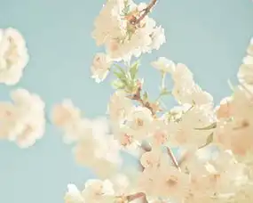 画出来的花朵头像微信头像图片大全