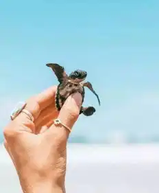 虐狗清洁工辞职周游世界美女相伴靠秀恩爱年入百万