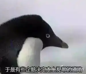 不止闲鱼2手手机要这么出