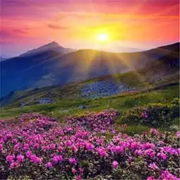 微信最吉利的好看头像2018新年阳光明媚好运连连