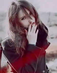 堆糖,美好生活研究所