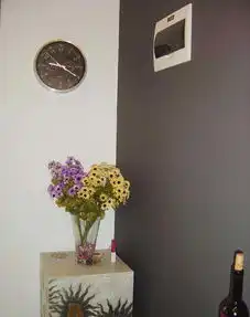 女网友2房1厅清新夺目的简约温馨家