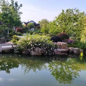 南京锦鲤鱼池清洗-上海黄页88网