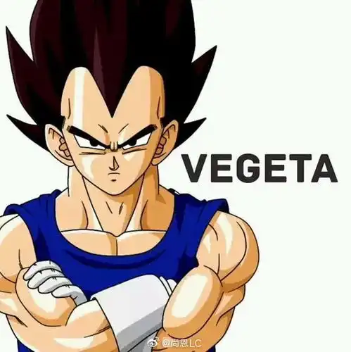 查到这些养犬人还要罚款合肥老城区打响不文明养犬严管战已捕捉3只未牵绳犬