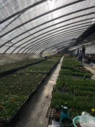 从月薪几千到年薪数十万被快手改变命运的养花少年