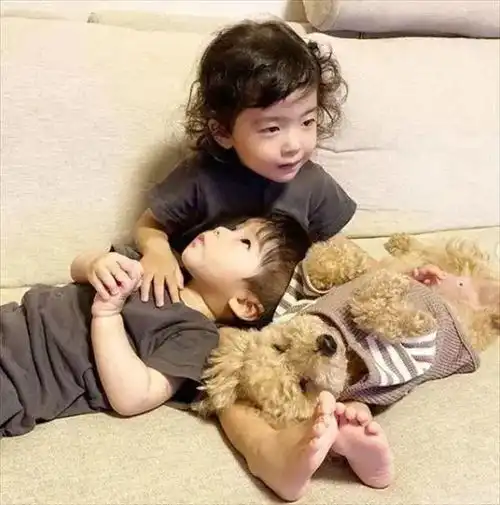 日本小女孩每天和狗狗一起睡引围观这才是晒娃晒宠物的最高境界