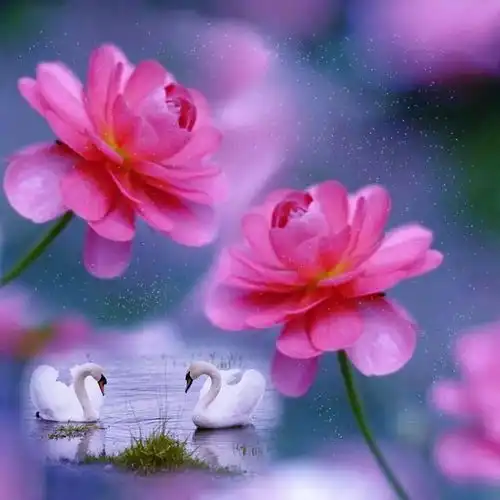 中老年头像大全好运连连,招福纳福的吉祥微信头像