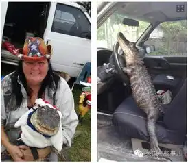 头像女生宠物怀里