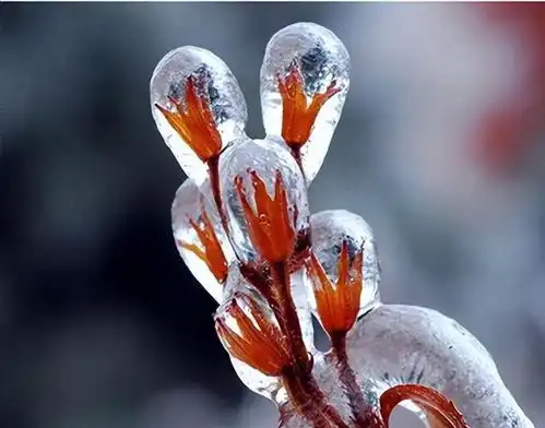 啥日子出生的人,低谷期多努力,改变命运迎接人生红利,福气深厚