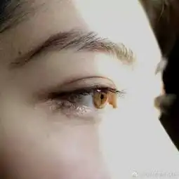 我是你的丹哥哥的微博微博