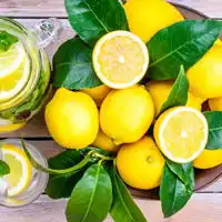 柠檬头像,柠檬小清新头像图片