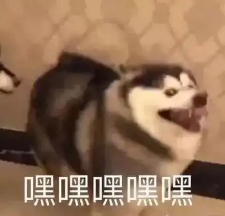 喜欢闻猪圈的味道这是我见过最神奇的癖好