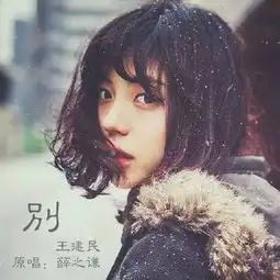 别王建民专辑网易云音乐