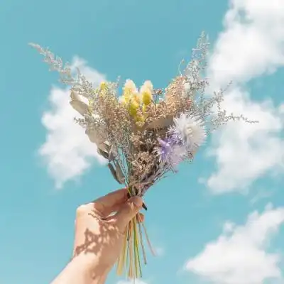 唯美好运的花系列微信头像1