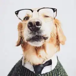 雍卓的微博微博