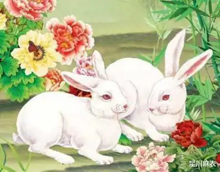 4月16日开始贵人提携,横财如雨下事业飞跃,招财纳福生肖点名