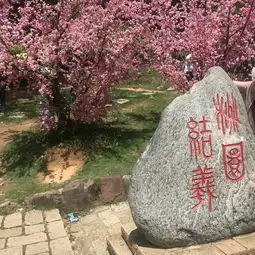 烈日下的禅佛拈花湾灵山大佛三国城