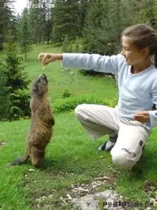 虎父无犬女11岁乌克兰小女孩完攀一条8a路线