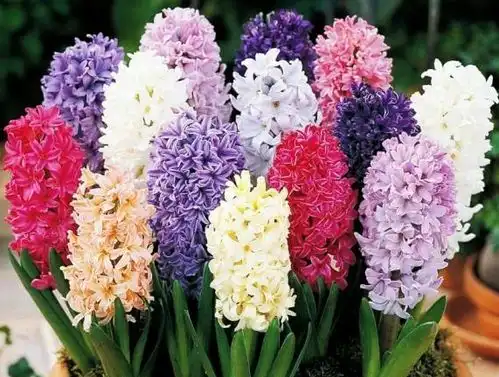 啥时辰出生的人,执行力超凡,用行动改变命运,7月撞大好运