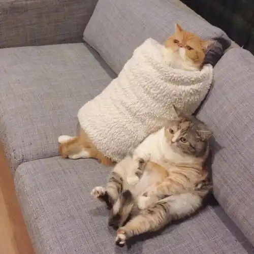 人间忽晚,山河已秋