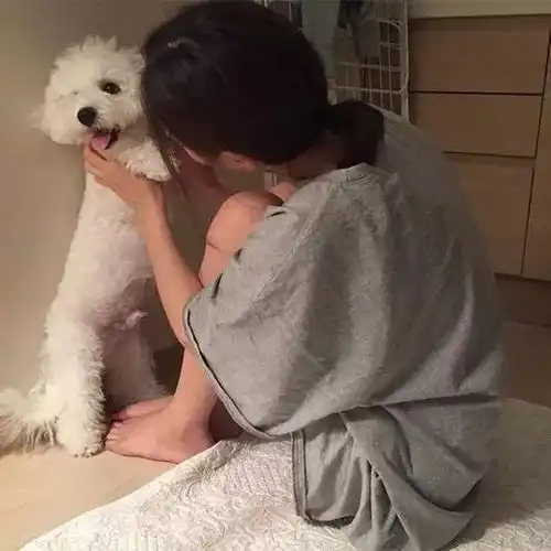 身为房东,租客在出租屋养狗应该怎么办