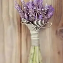 vip会员日解锁贴秋膘的正确姿势